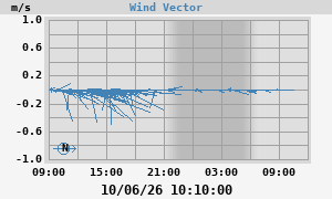 Wind Vector